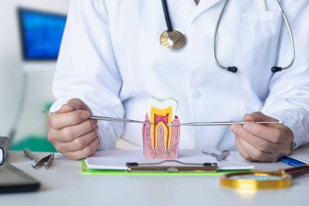 Best Dental Abscess Treatment in Neuse Forest, NC